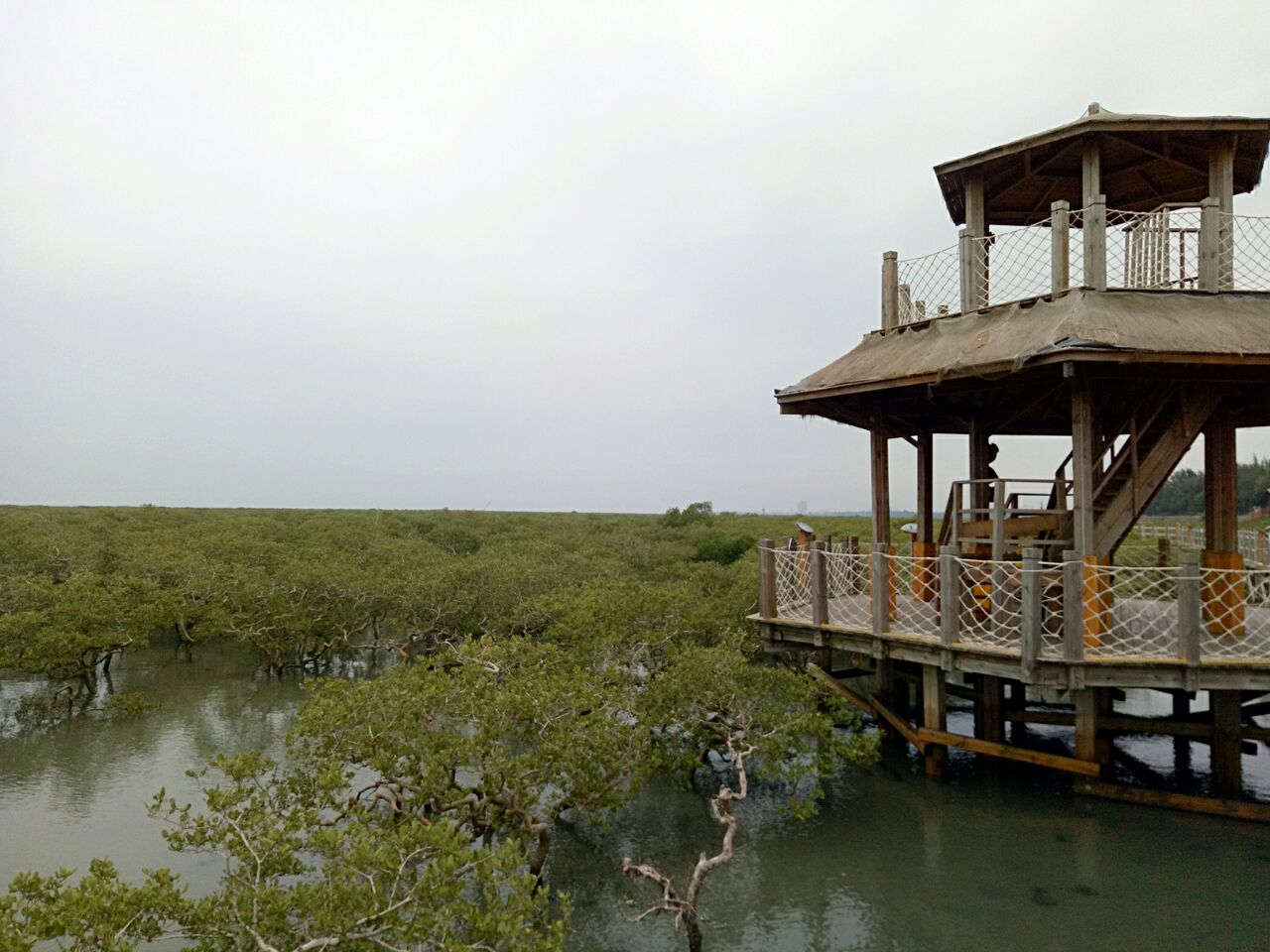 北海金海湾红树林生态旅游区