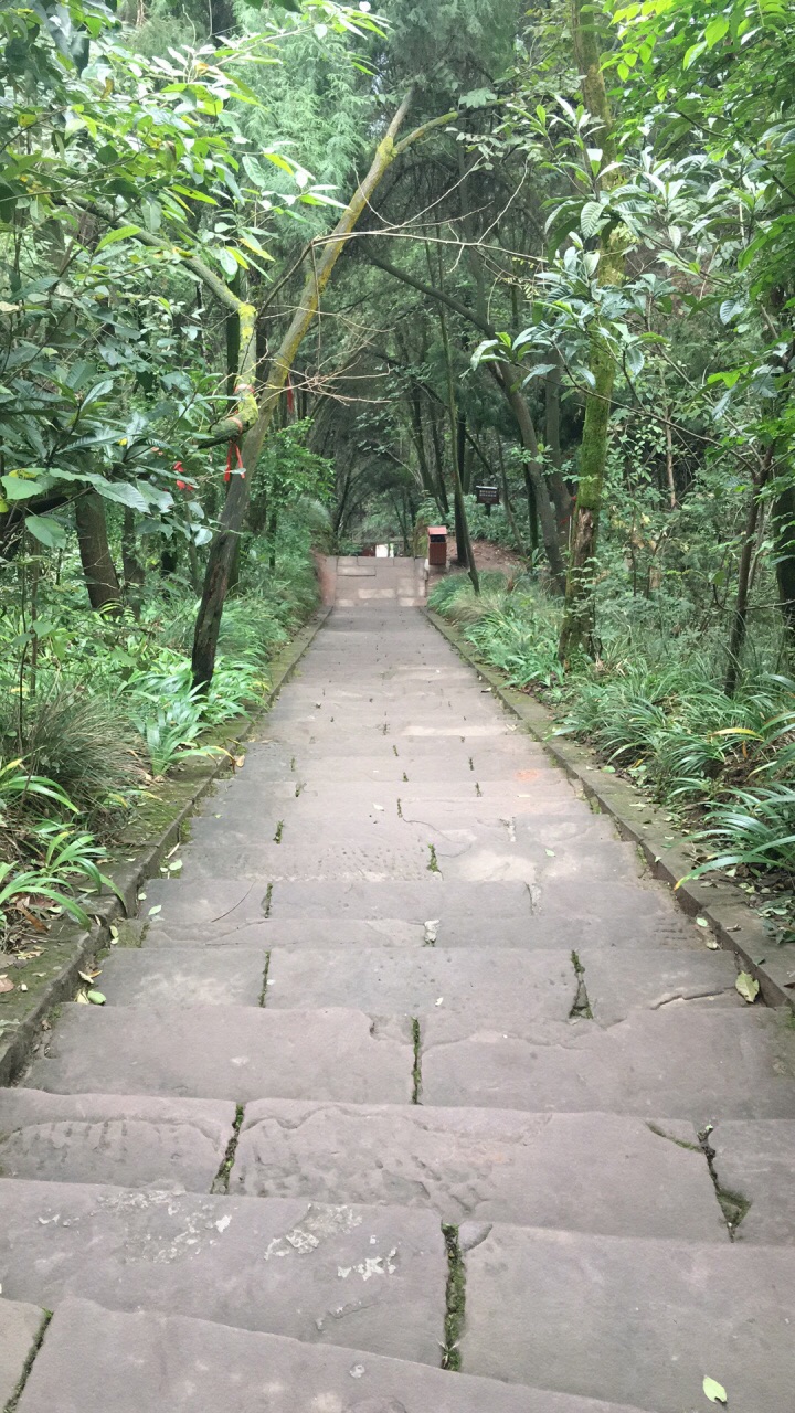 南充西山风景区好玩吗,南充西山风景区景点怎么样_点评_评价【携程