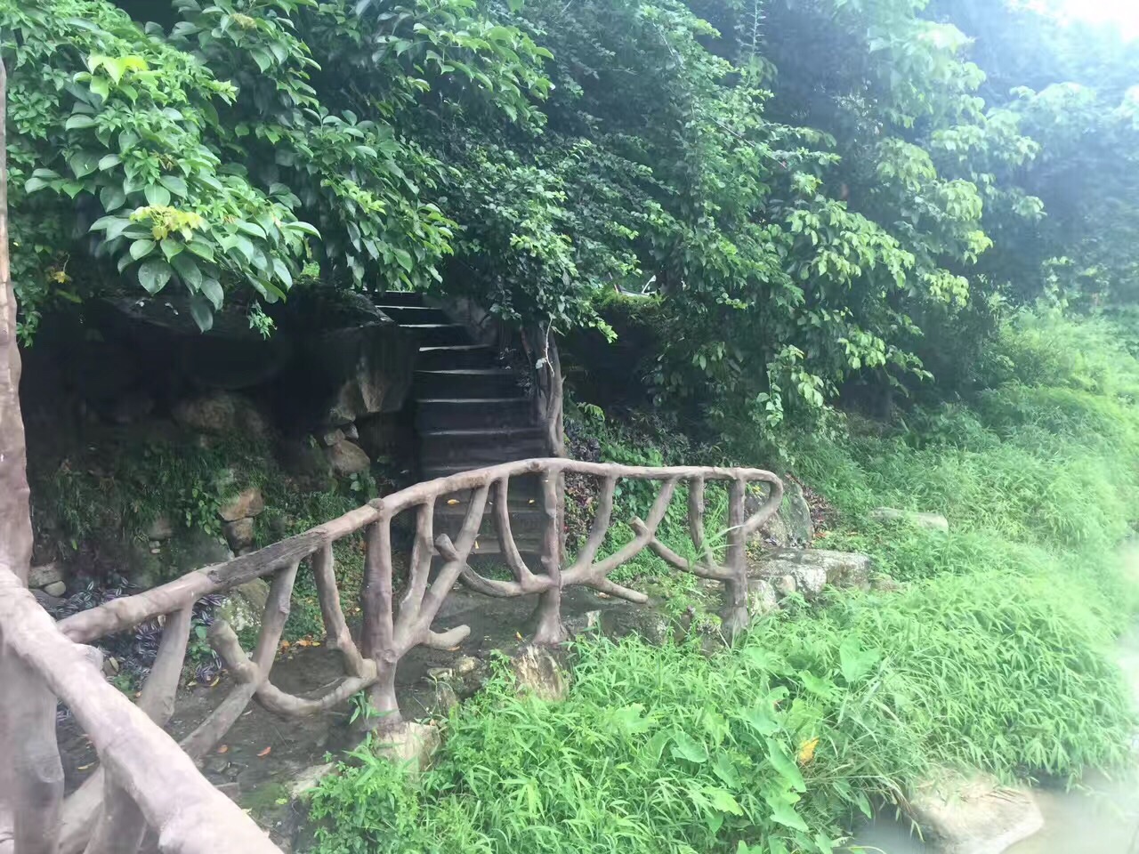 新兴天露山旅游度假区