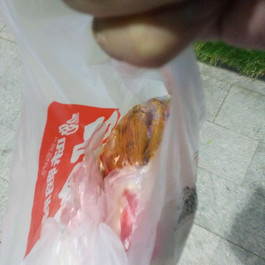 深圳天天美食(横岗店)附近渔港v美食_天天渔港美食钟楼西安图片