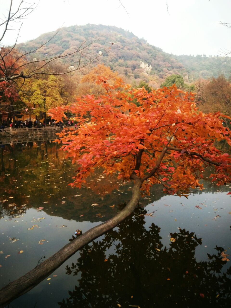 天平山