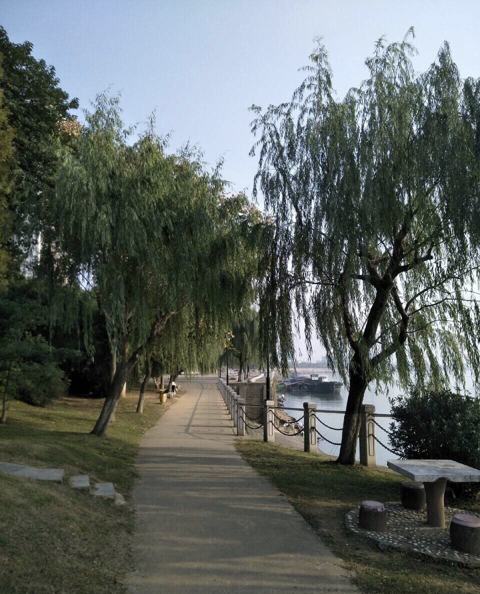 常德诗墙公园的锁心桥上,成串成串的锁闪闪发光.