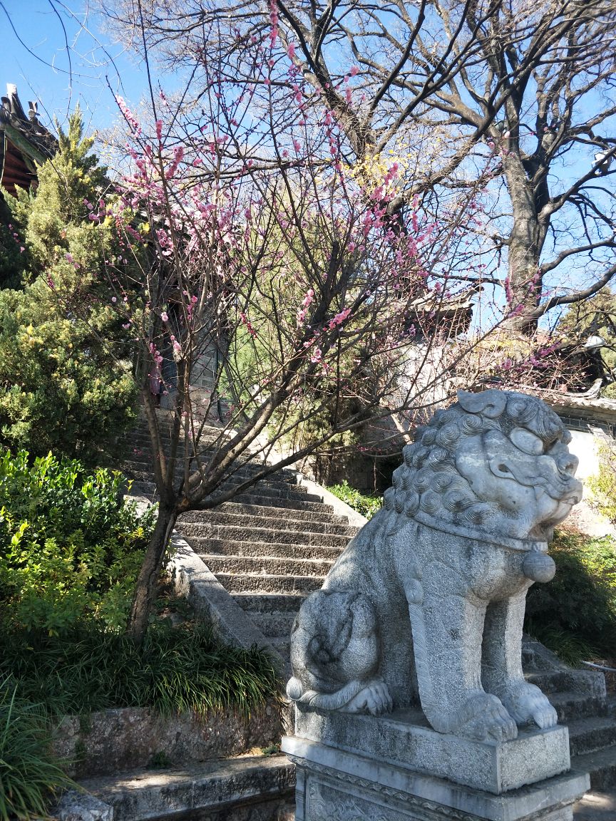 2019狮子山_旅游攻略_门票_地址_游记点评,丽江旅游景点推荐 去哪儿