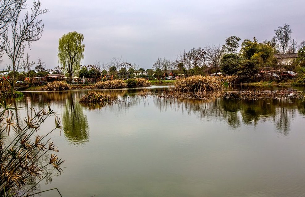 青杠树景区