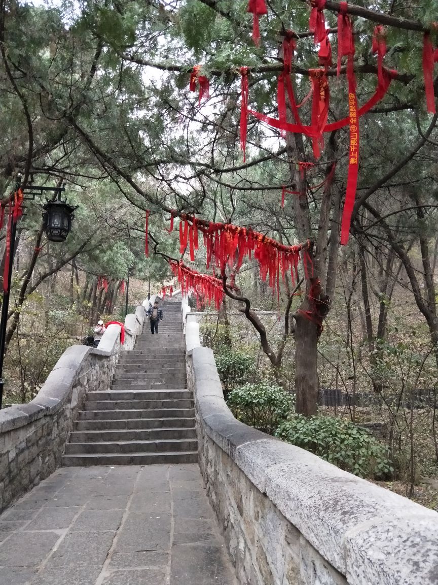 千佛山