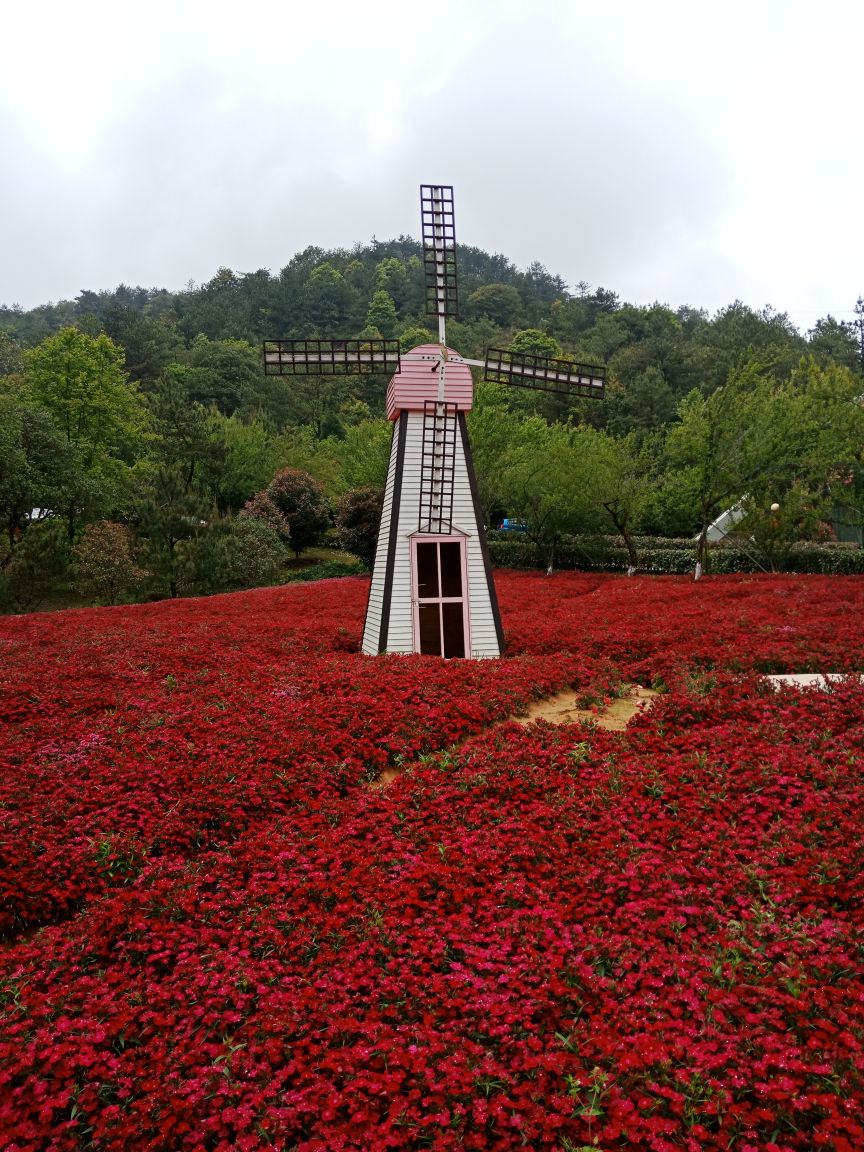 【携程攻略】上杭梅花山(中国虎园)好玩吗,上杭梅花山