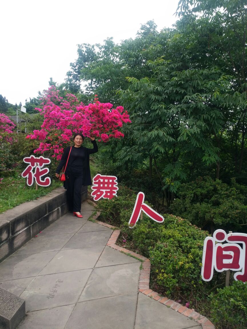 花舞人间旅游景点攻略图