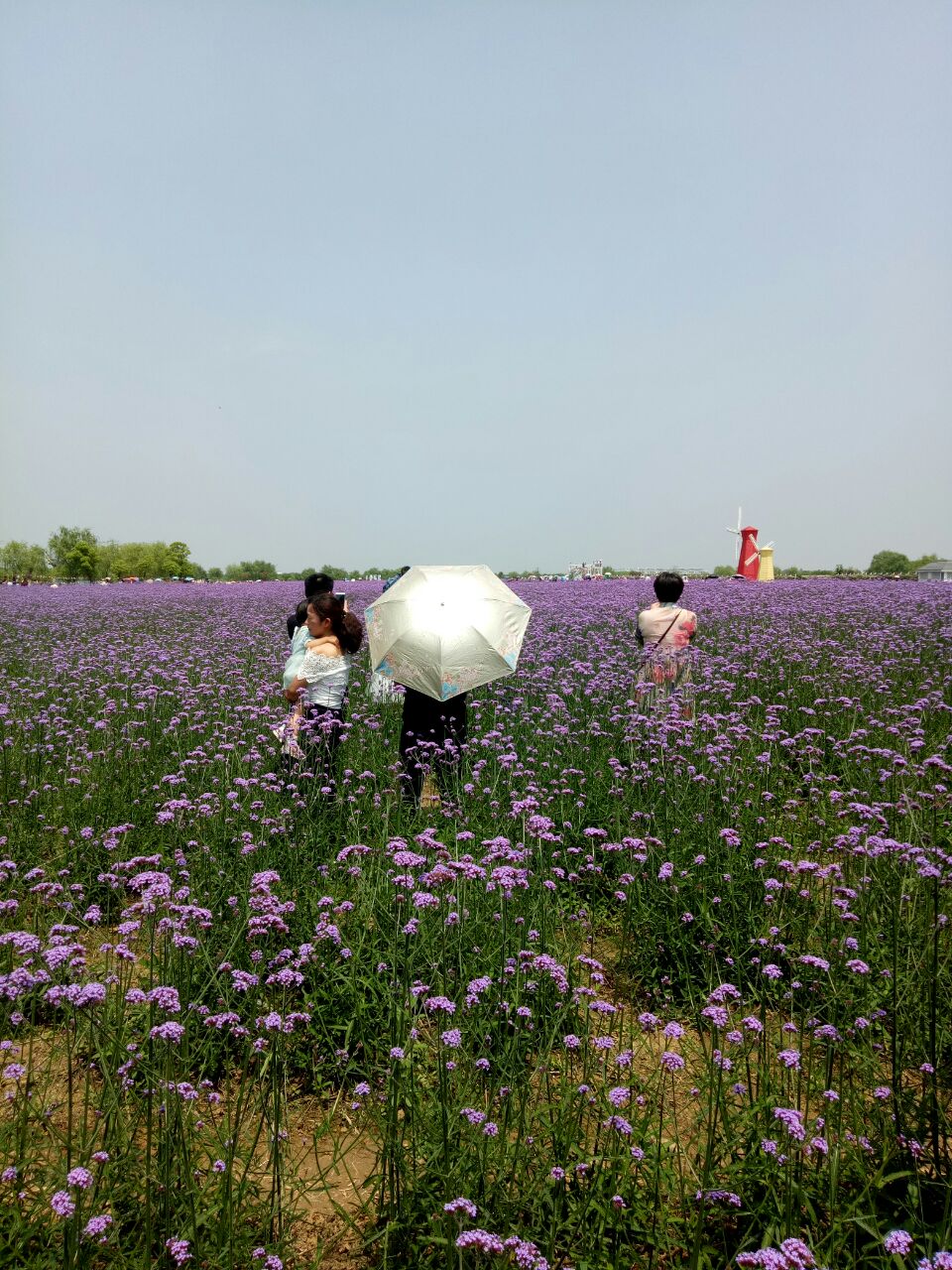 大浦乡村世界