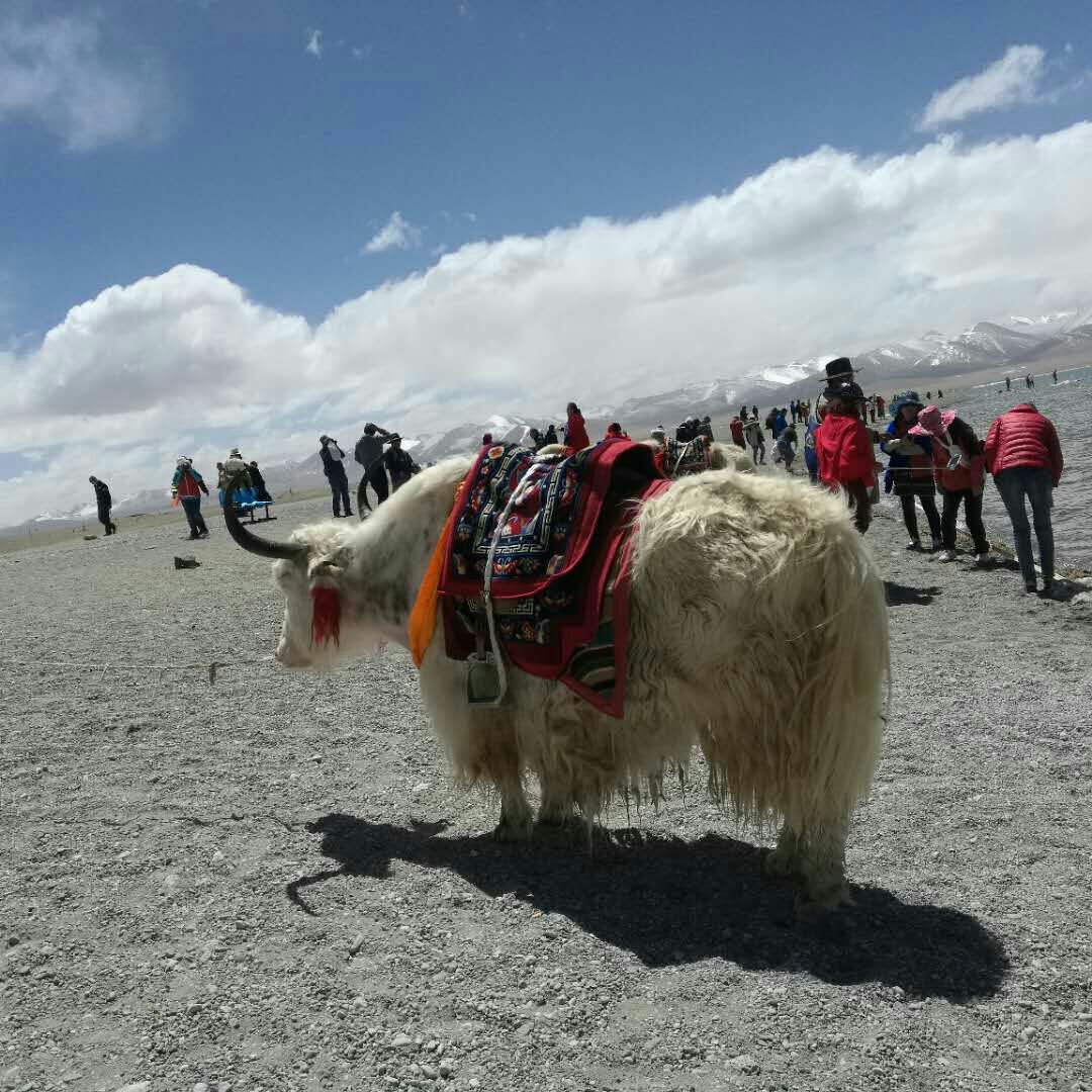 纳木措旅游景点攻略图