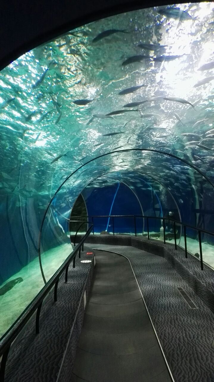 上海海洋水族馆