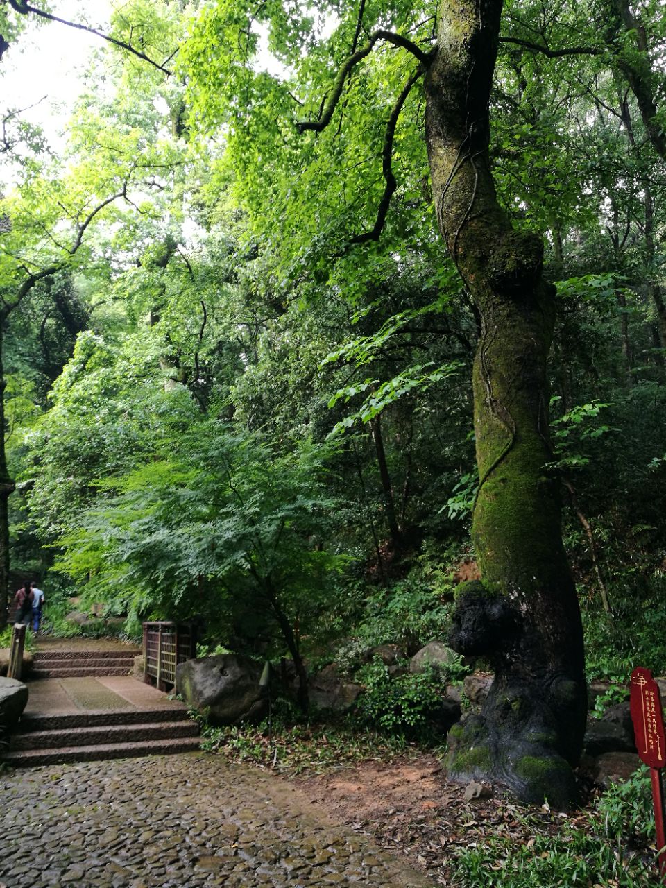 安吉灵峰山景区好玩吗,安吉灵峰山景区景点怎么样