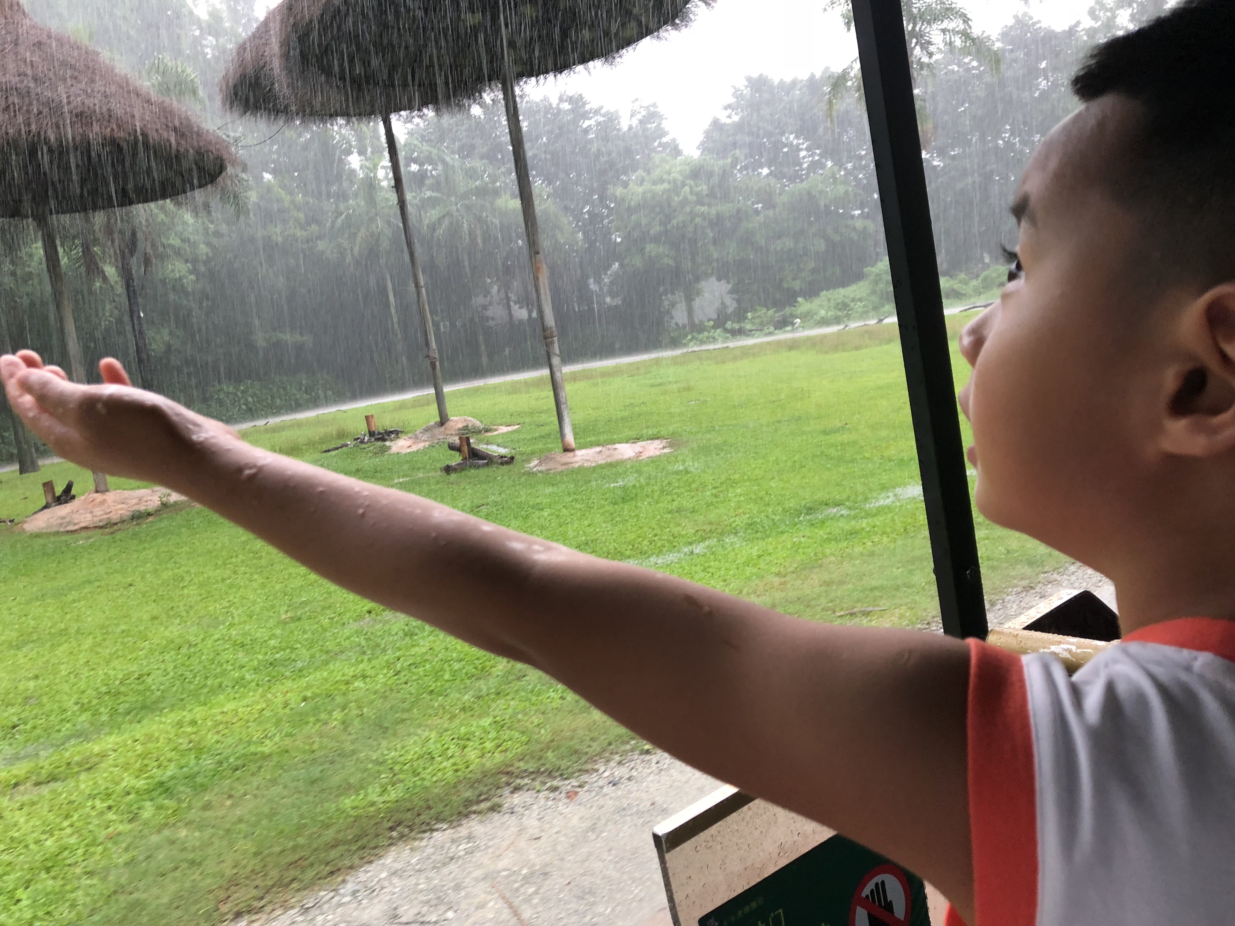 下雨的话动物园还可以去吗
