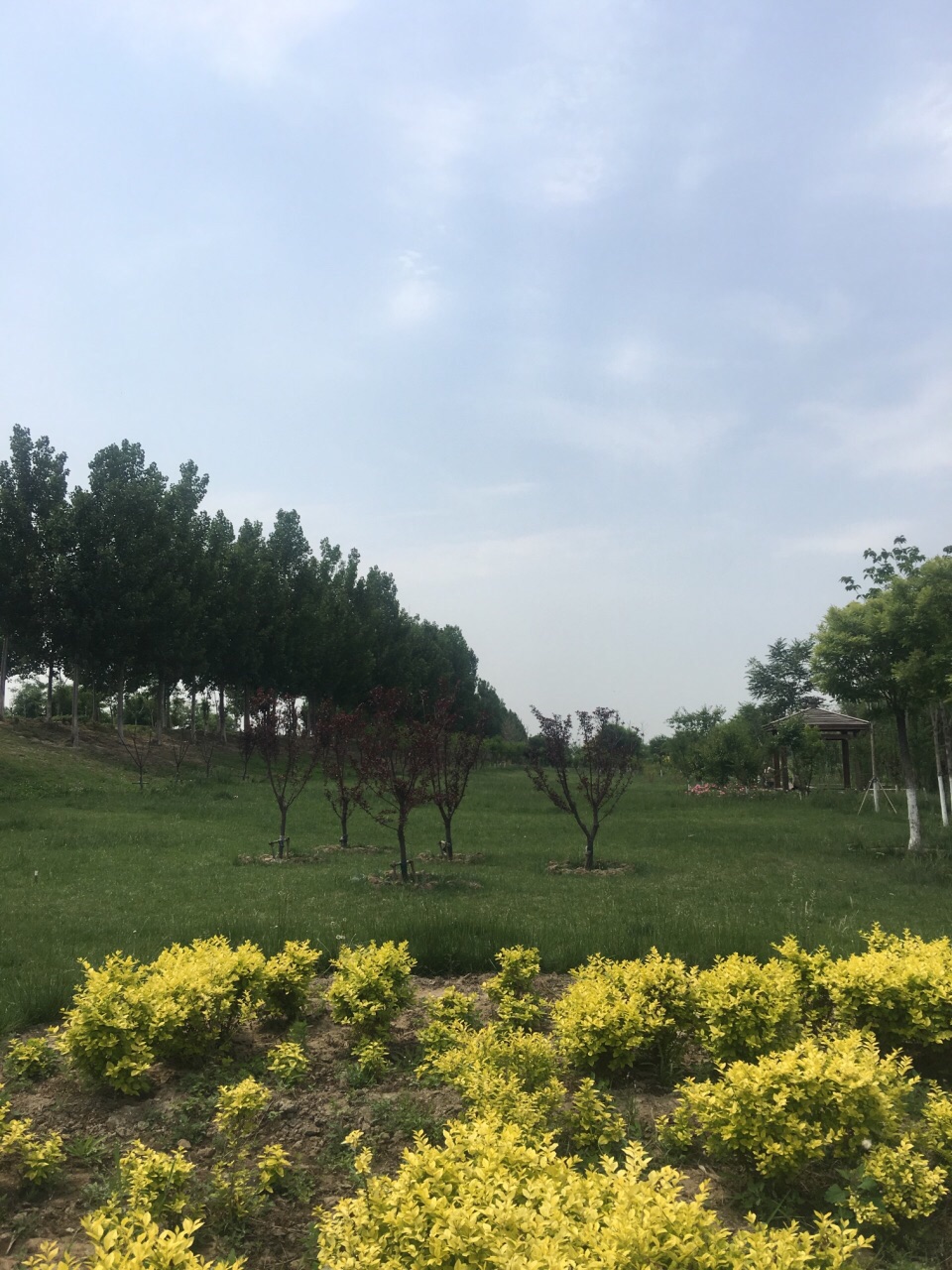 东丽郊野公园旅游景点攻略图