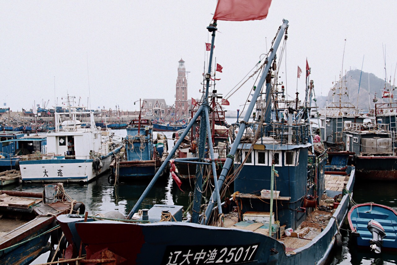 大连老虎滩海洋公园 棒棰岛 滨海路 海之韵公园 渔人码头一日游【高端