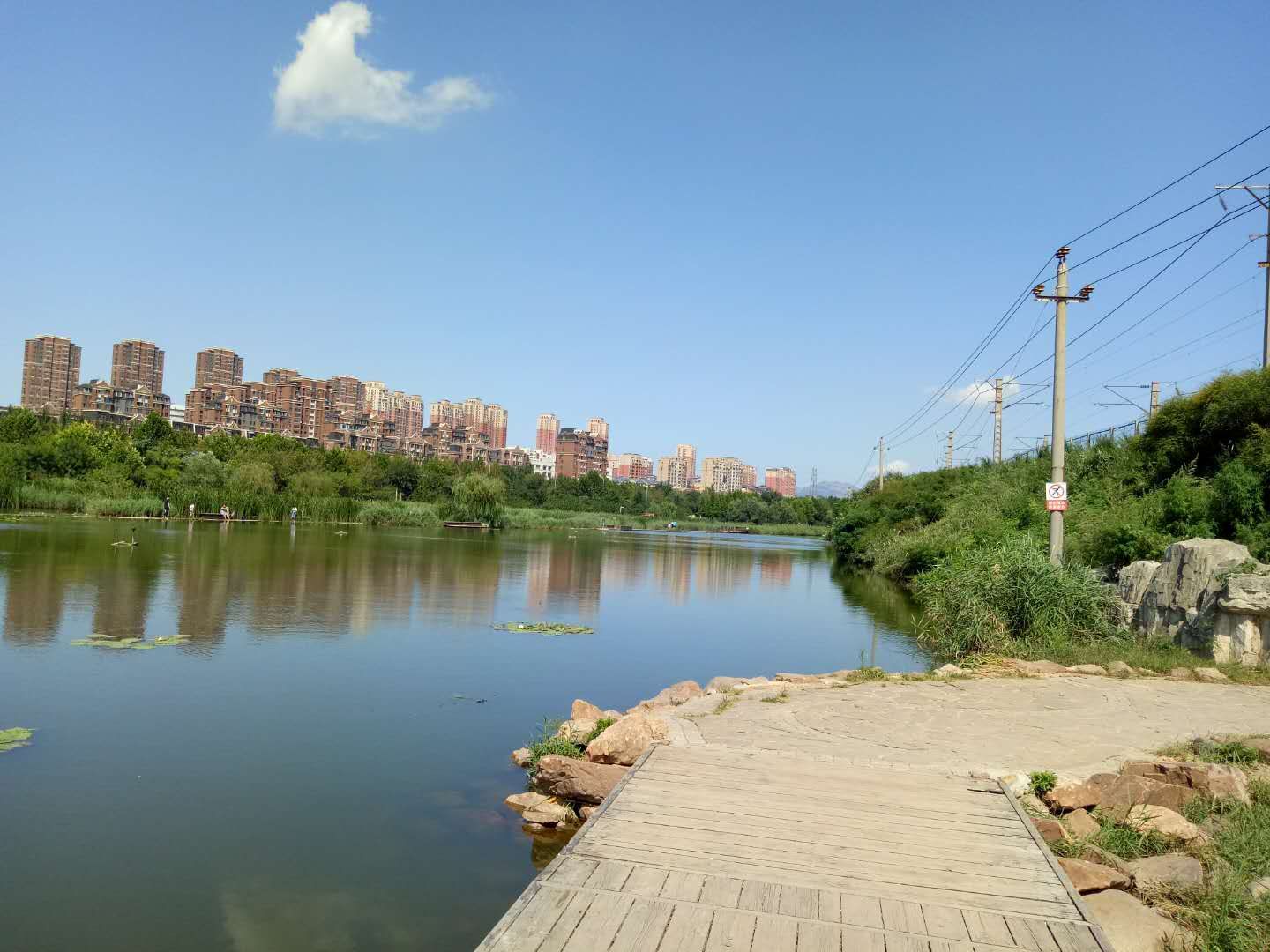 前关湿地公园