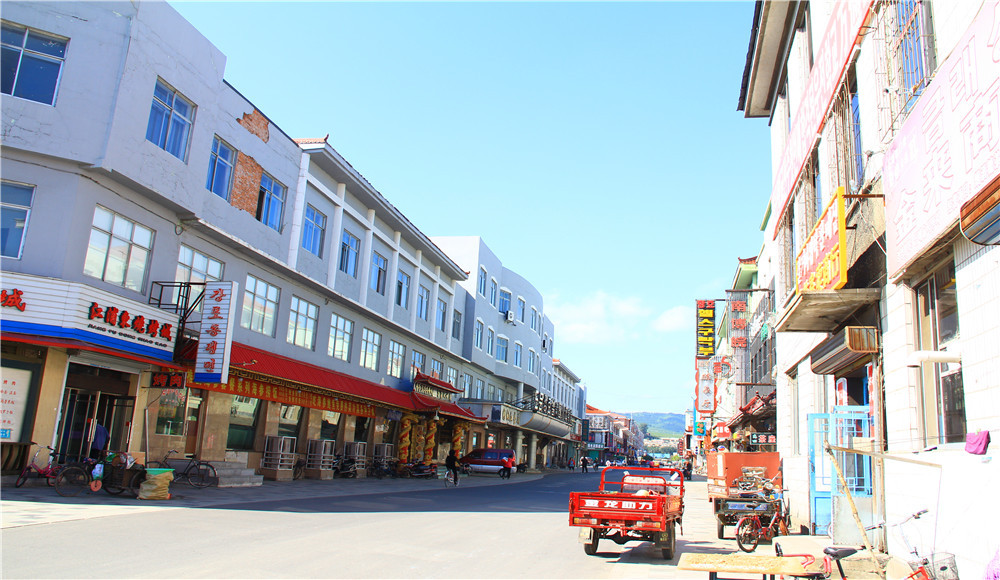 那一年,飘走东北,吉林省休闲之旅;图们市风采,中国图们国门,图们口岸