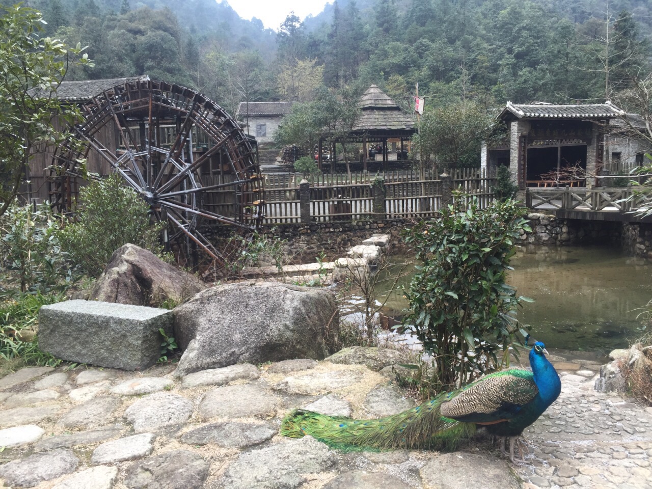 姑婆山旅游景点攻略图