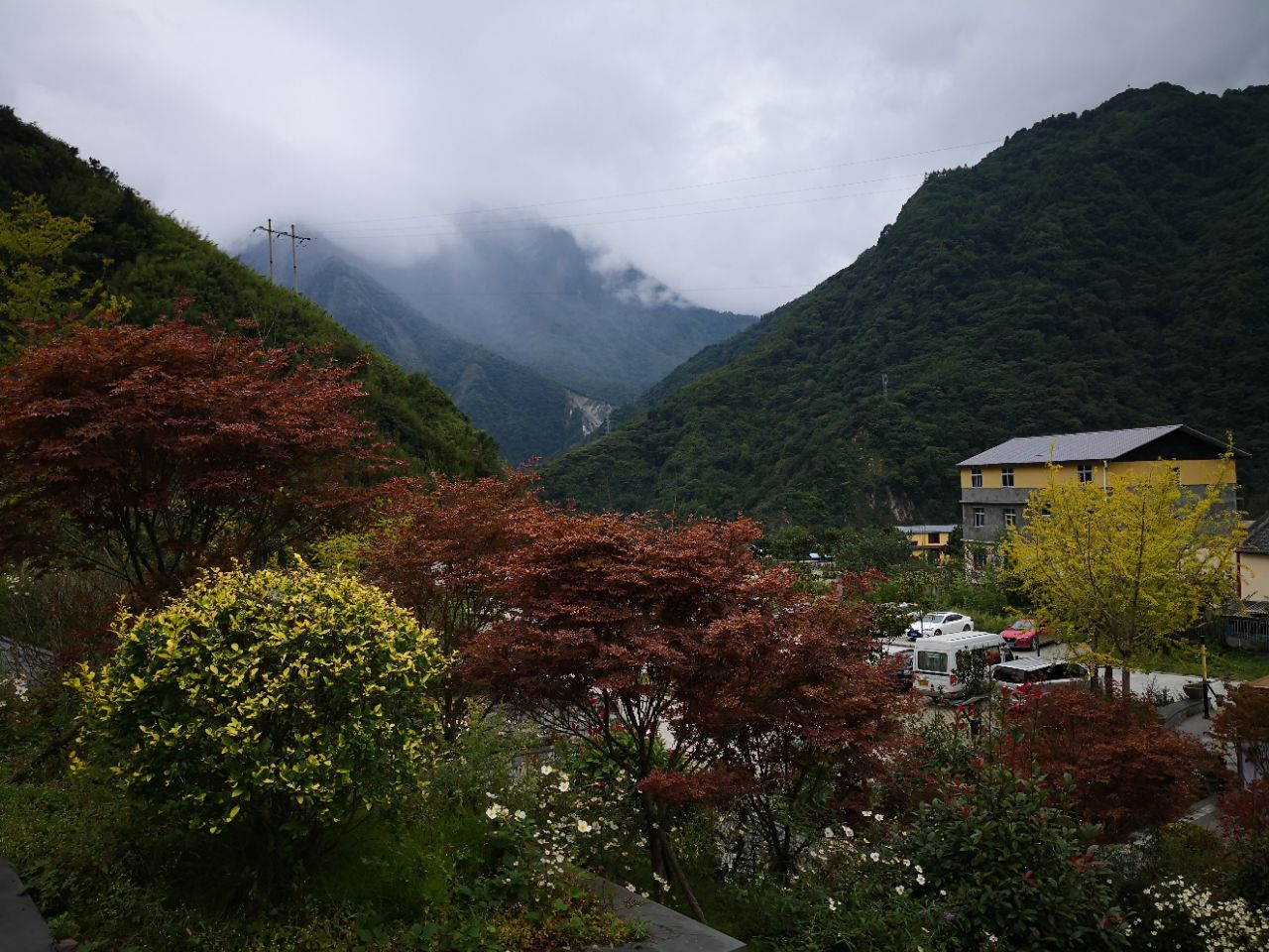 卧龙中华大熊猫苑神树坪基地