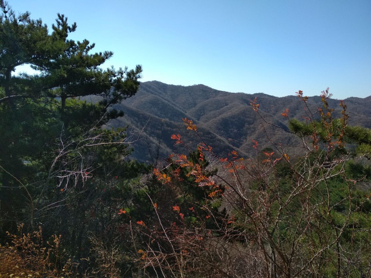 翠枫山自然风景区旅游景点攻略图