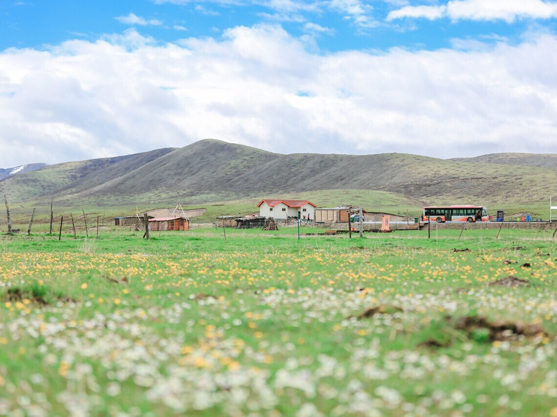 红原俄么塘花海景区好玩吗,红原俄么塘花海景区景点样