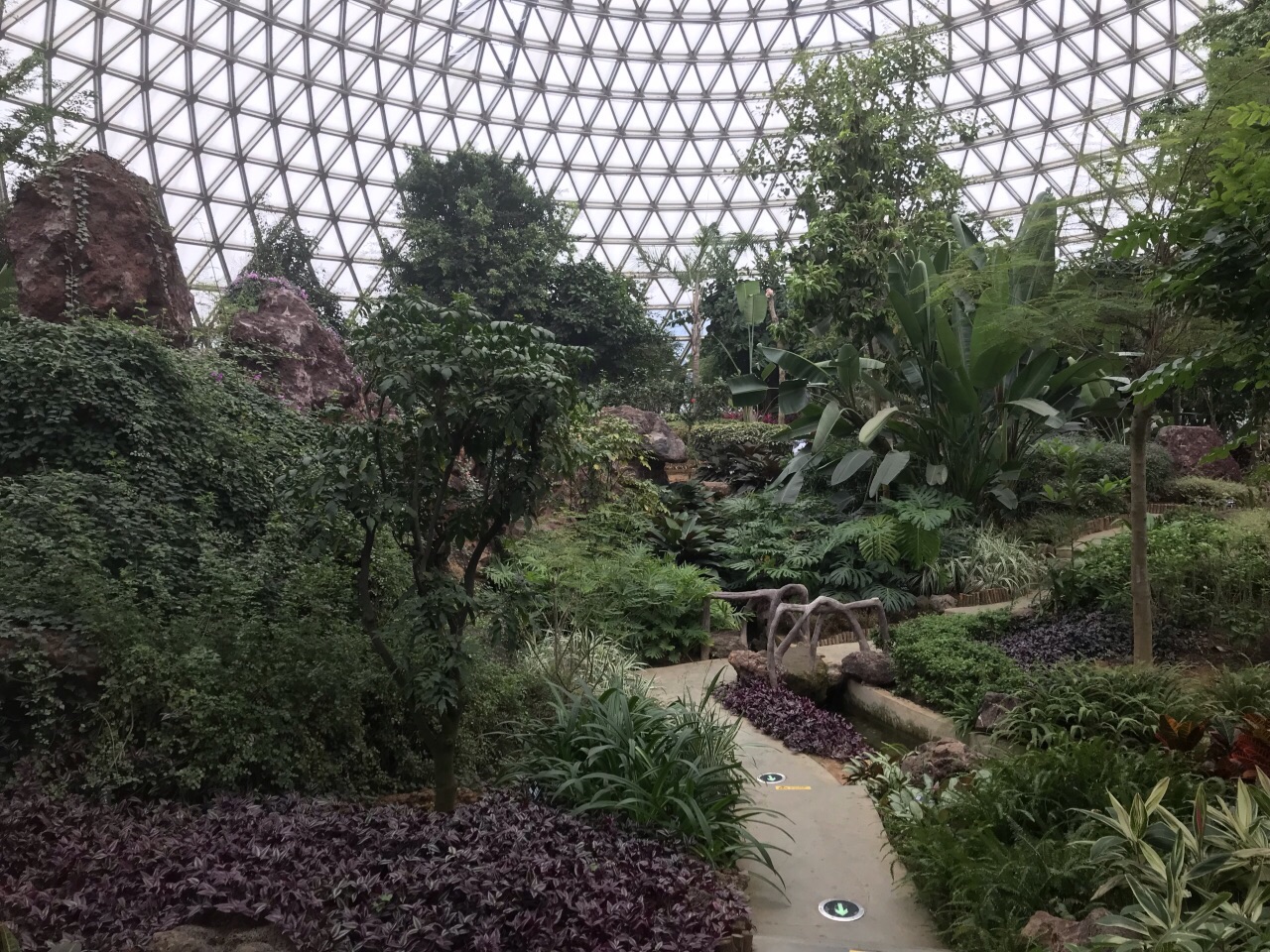 大阳山植物园景区