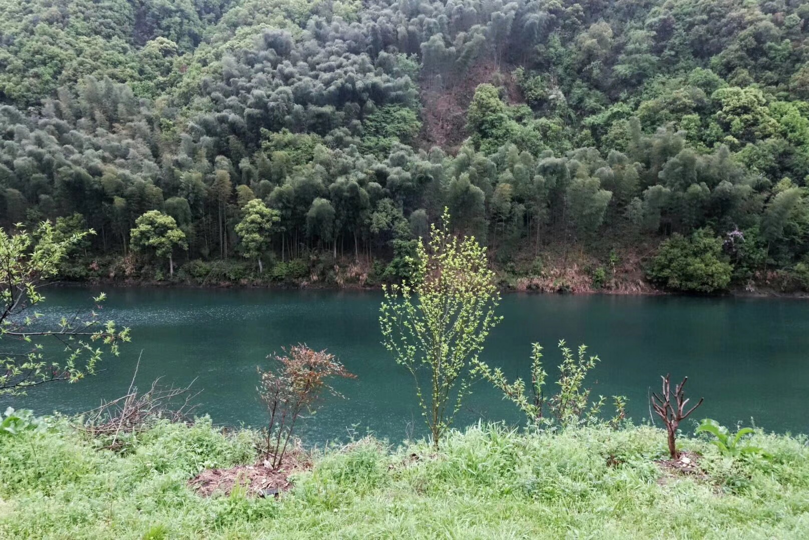 宣城青龙湾生态旅游区攻略,宣城青龙湾生态旅游区门票