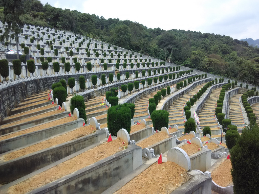 魂系老山,麻栗坡烈士陵园的21排烈士陵墓,太震撼了