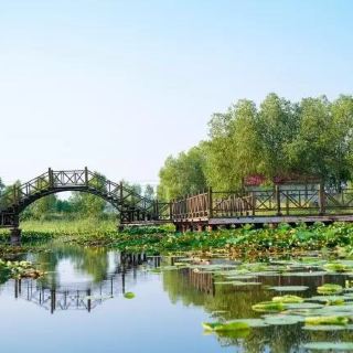 黑鱼湖生态园   分 1条点评 乡村 民风民俗 距景点674m