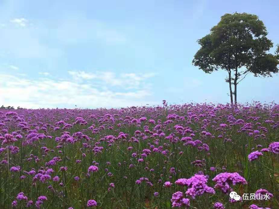 郎溪县伍员山水农业公园旅游景点攻略图