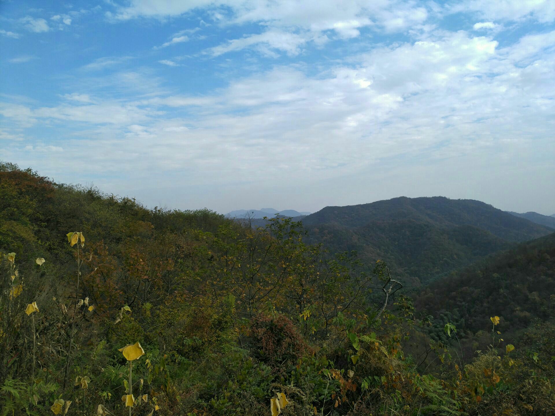 【携程攻略】庐江岱鳌山景点,非常好的景点,就在庐江