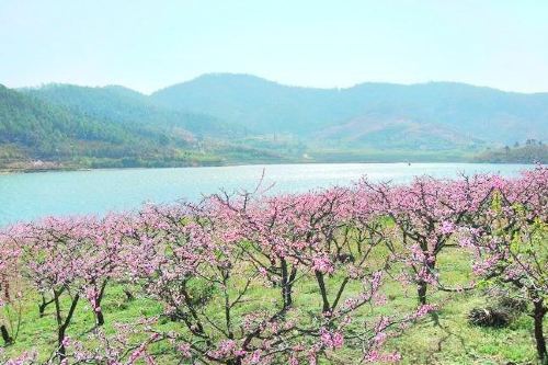 海塔世外桃源风景区