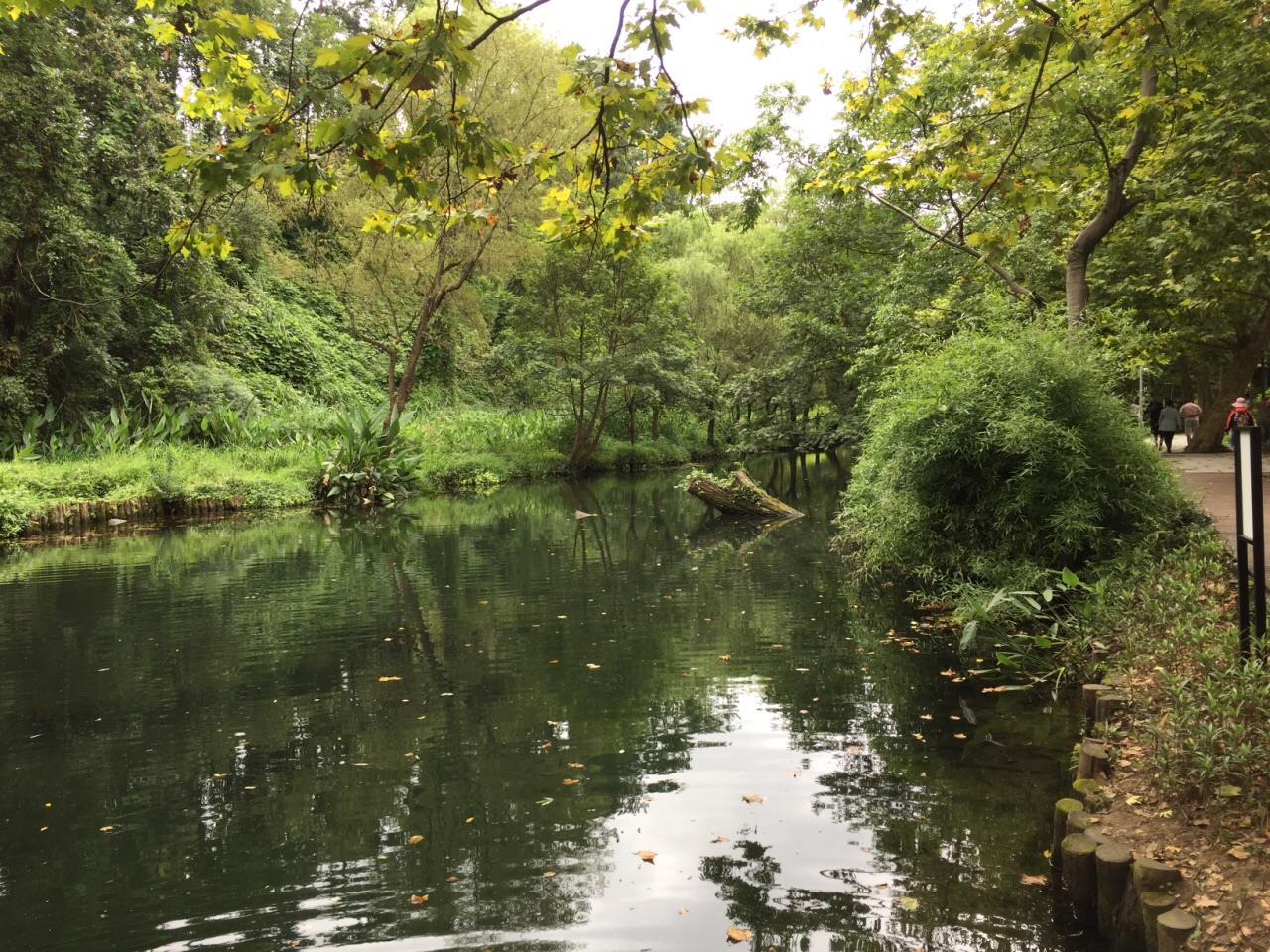 贵阳小车河城市湿地公园攻略,贵阳小车河城市湿地公园门票/游玩攻略