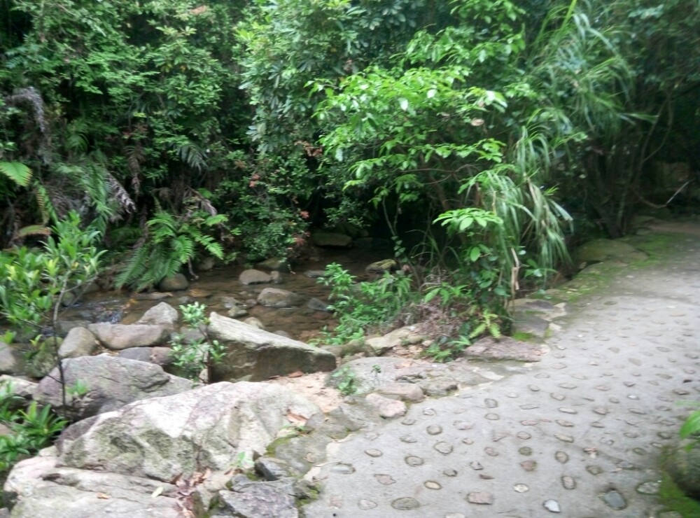 【携程攻略】中山逍遥谷好玩吗,中山逍遥谷景点怎么样_点评_评价