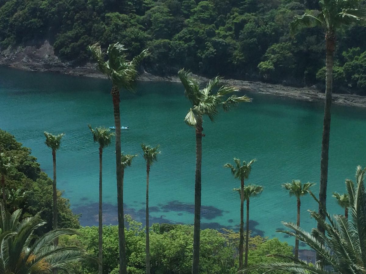 【携程攻略】下田市白浜海岸景点,海水清澈透明见底