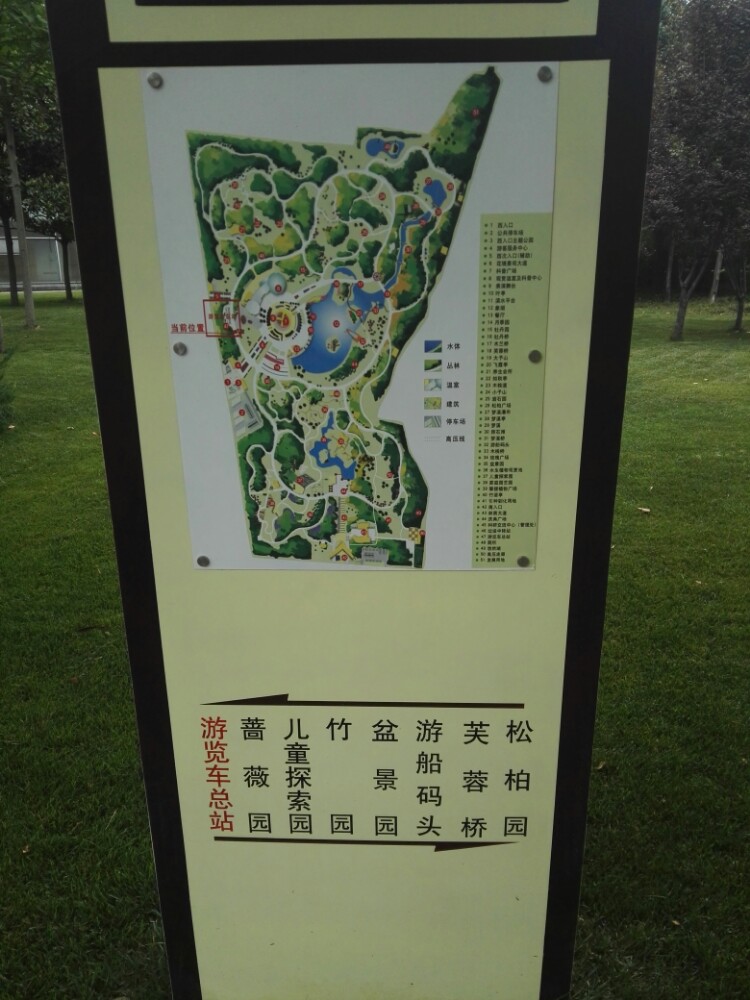 郑州植物园图片