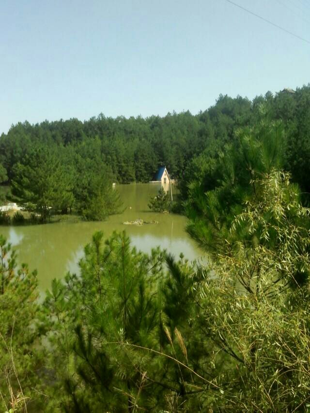 【携程攻略】重庆奉节天鹅湖好玩吗,奉节天鹅湖景点怎麼样_点评_评价