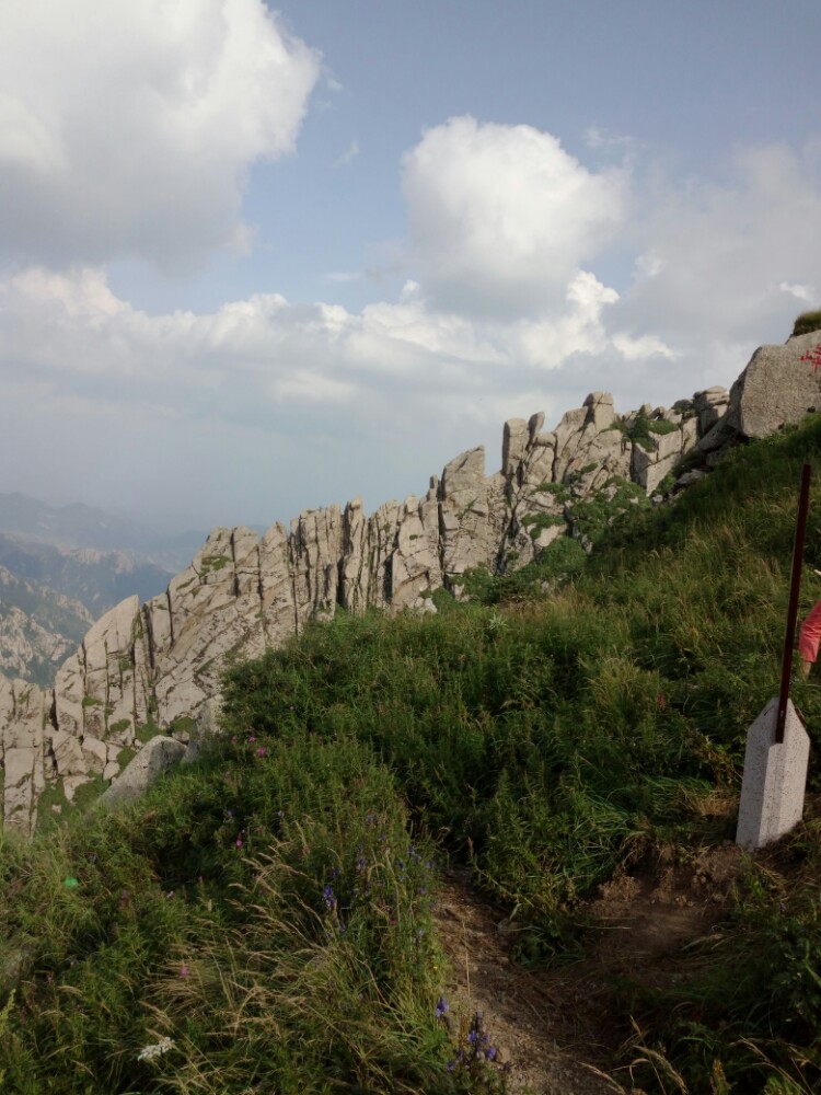 芦芽山