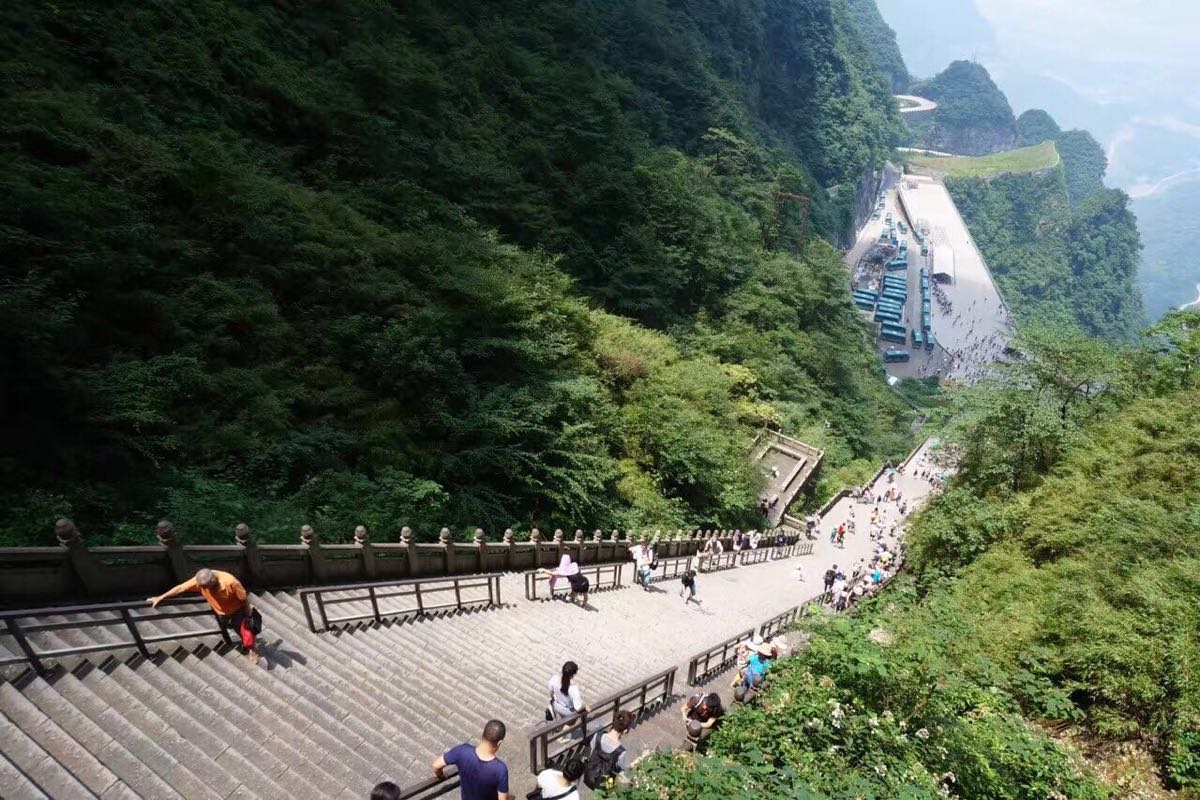 上天梯