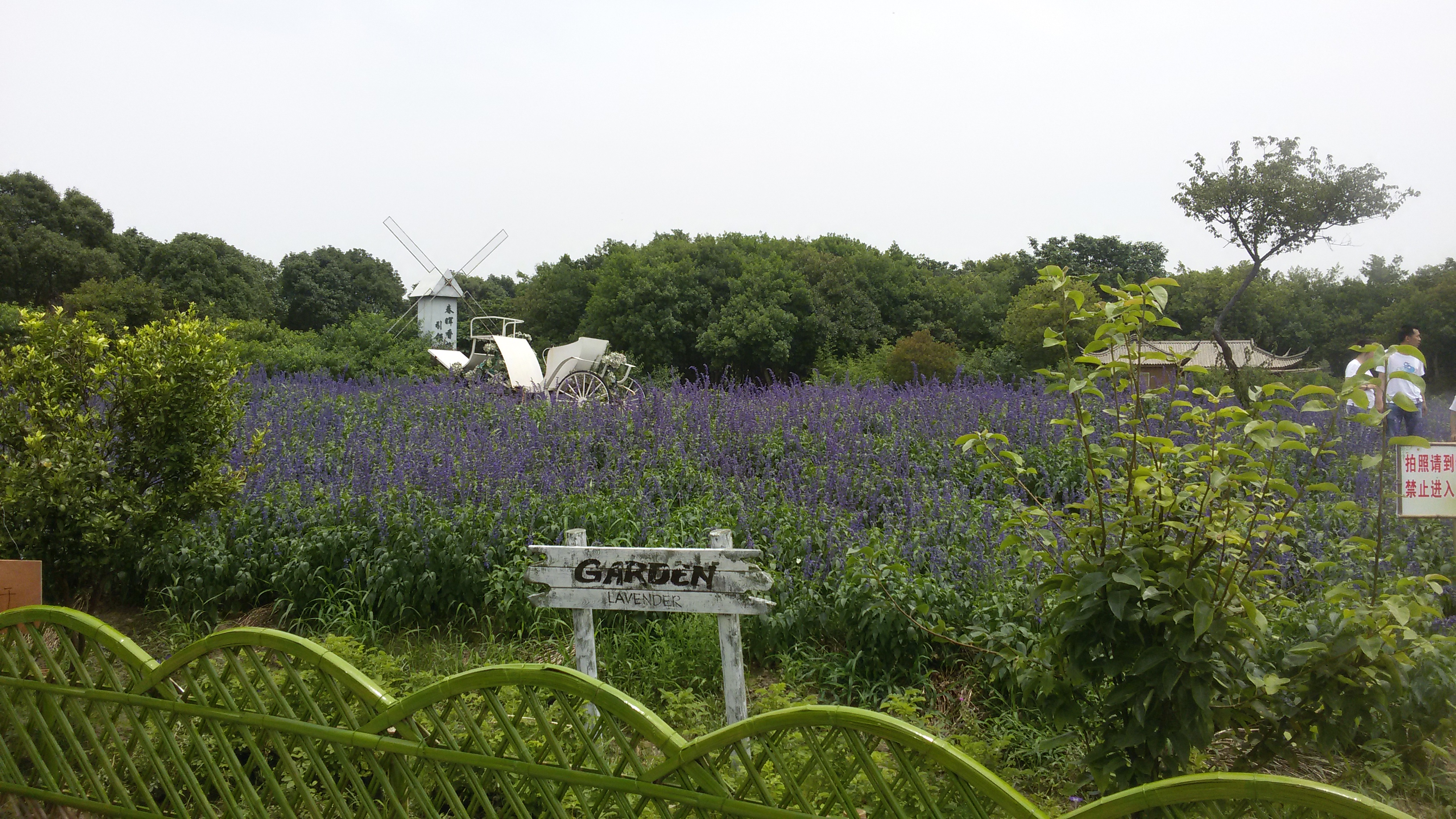 春晖香草园