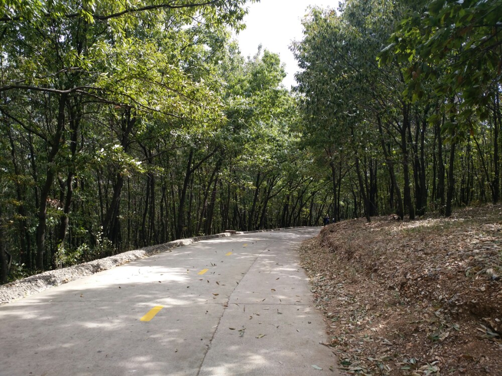 八公山很大,横跨八公山区,寿县,一般来说,寿县的八公山森林公园比八公
