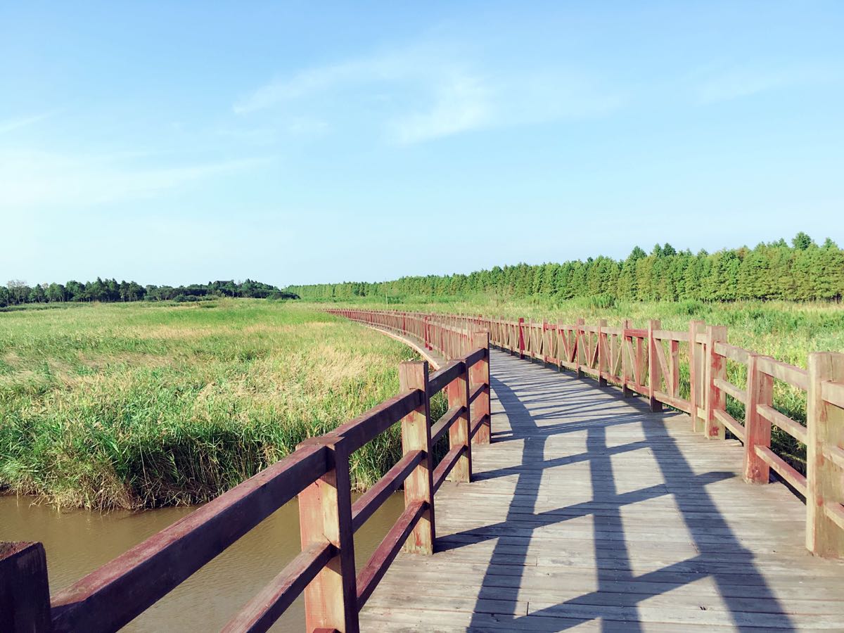 崇明区东滩湿地公园好玩吗,崇明区东滩湿地公园景点怎么样_点评_评价