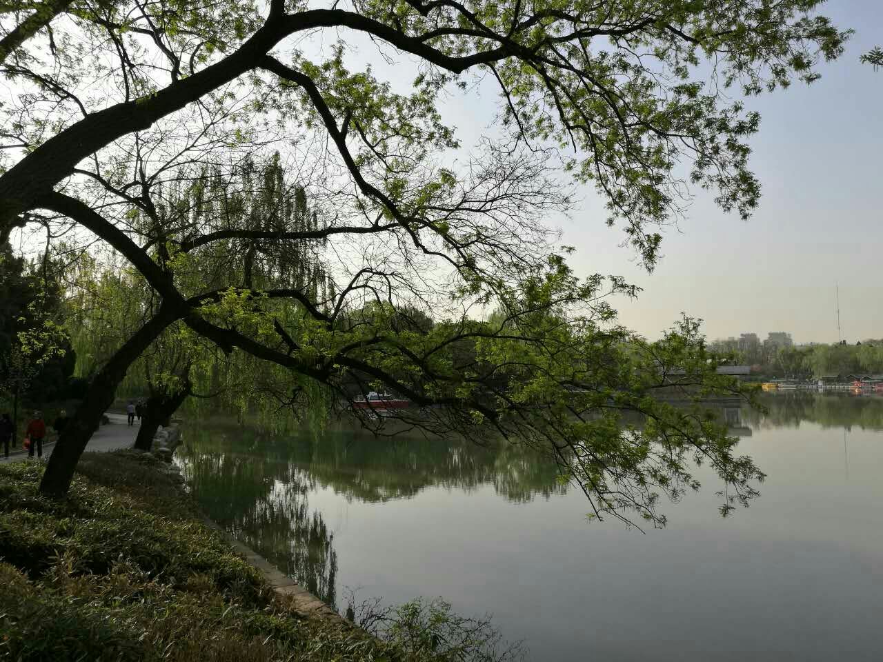 后海公园旅游景点攻略图
