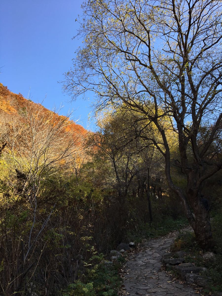 西丰城子山风景区攻略,西丰城子山风景区门票/游玩