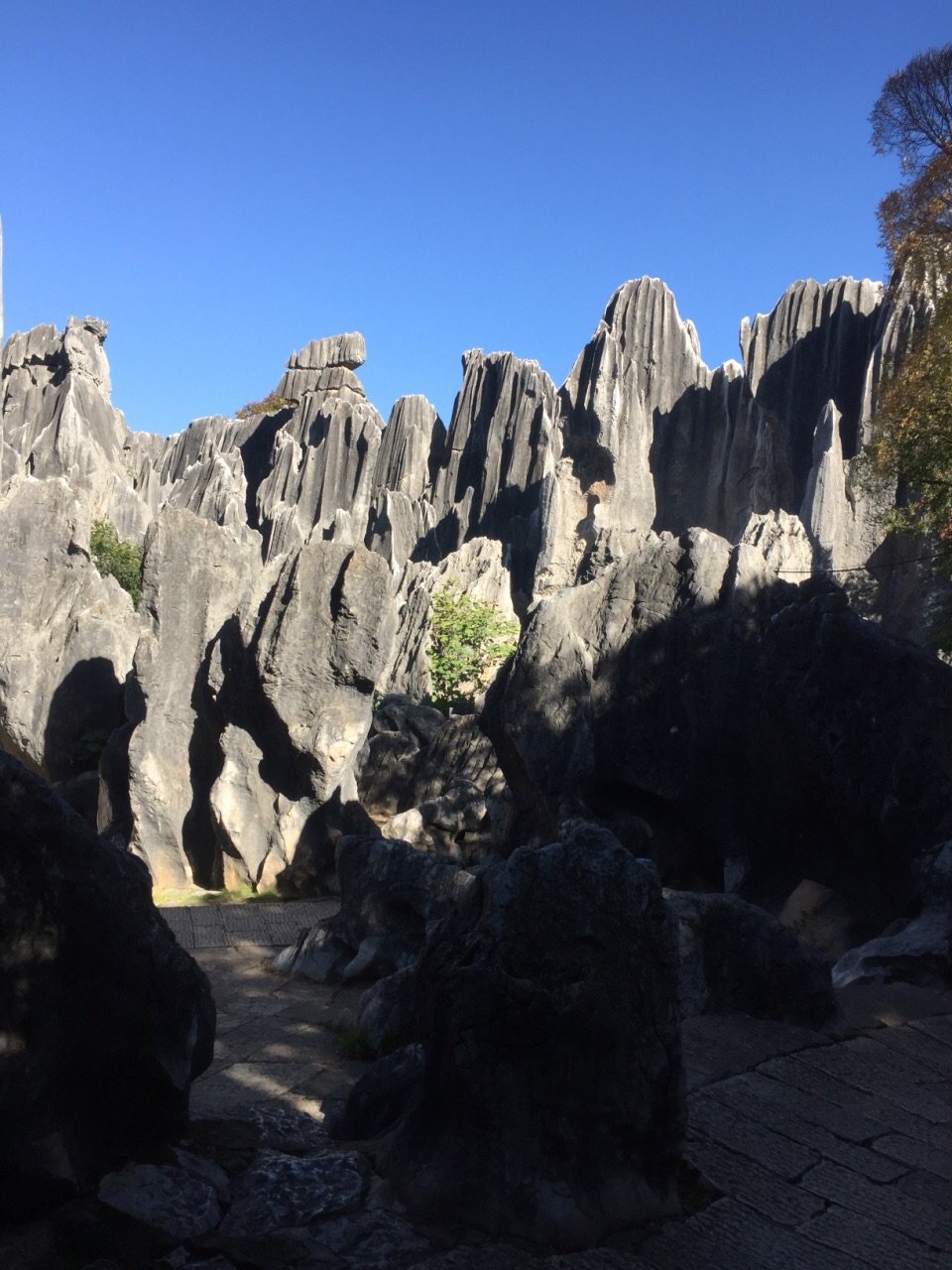 石林风景区