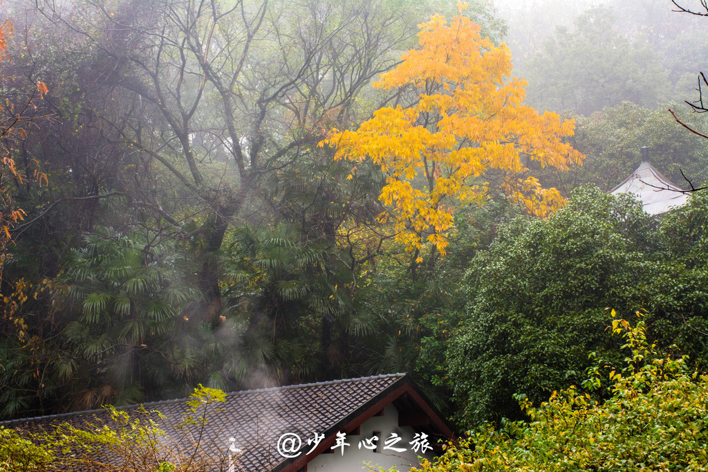 你的烟雨情,我的江南梦—杭州西湖,南宋皇城小镇,九溪,西溪之旅