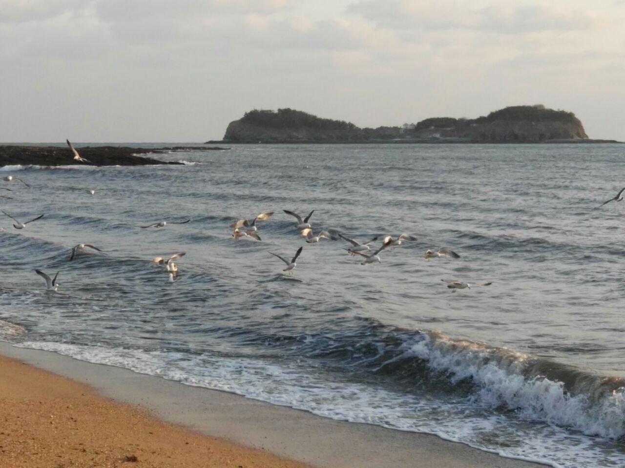 傅家庄海滨浴场