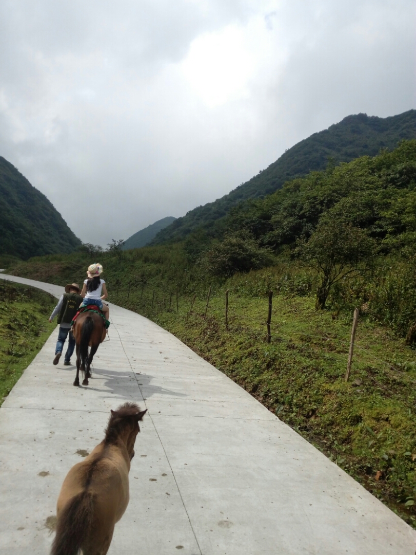 重庆仙女山国家森林公园好玩吗,重庆仙女山国家森林公园景点怎么样