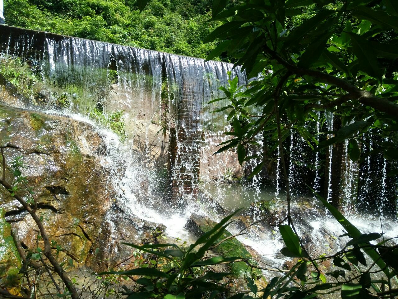 大岭山森林公园