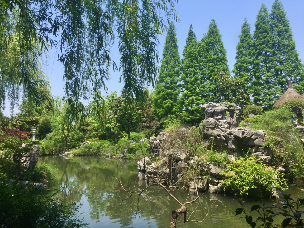 沈园