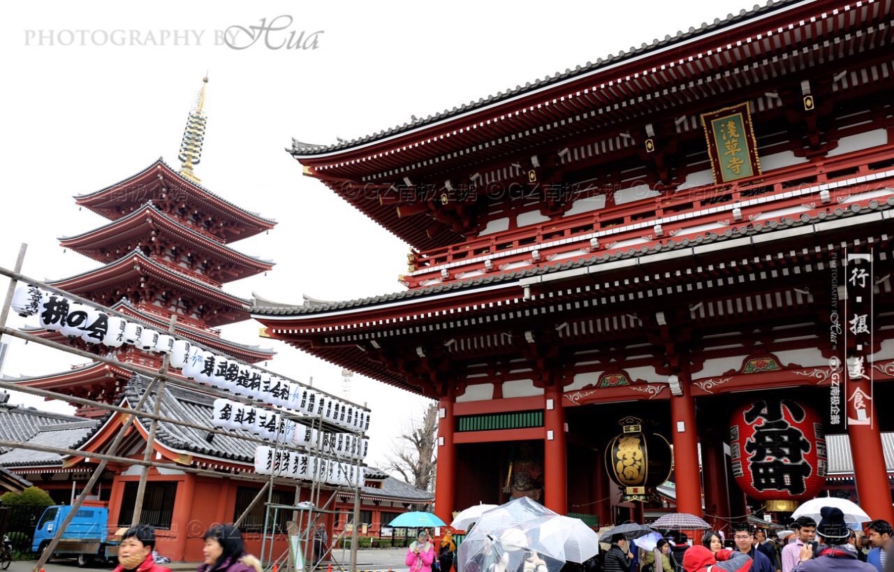 浅草神社